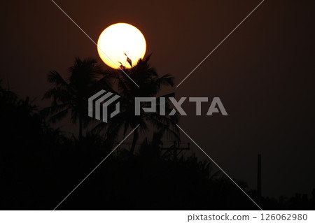 Behold the breathtakingly beautiful scene of a stunning sunset over silhouetted palm trees Behold the breathtakingly beautiful scene of a stunning sunset over silhouetted palm trees 126062980