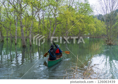 A canoe sailing through the submerged forest of Lake Shirakawa 126063439