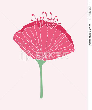 Pink flower silhouette, poppy. Floral element design for wedding, valentines day, congratulations, birthday. Isolated on white background. Pink flower silhouette, poppy. Floral element design for wedding, valentines day, congratulations, birthday. Isolated on white background. 126063668