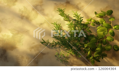 Elegant Arrangement of Herbs on Light Olive Background 126064364