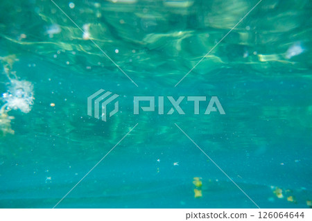 海 大海 海洋 126064644