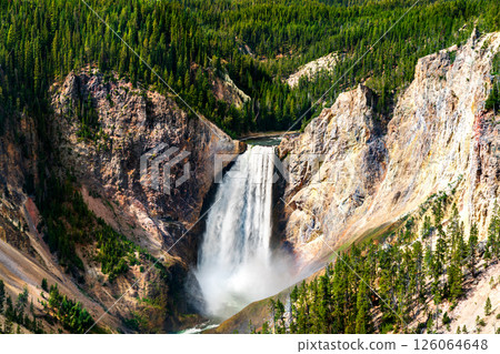 Powerful cascade of the Lower Falls plunging into the Grand Canyon of the Yellowstone, framed by rugged cliffs and dense pine forest in Yellowstone National Park, United States 126064648