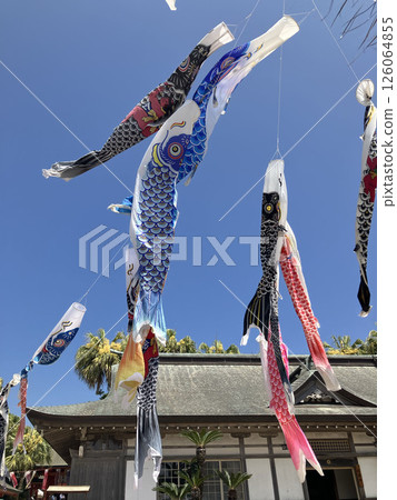 Japanese style building and carp streamers 126064855