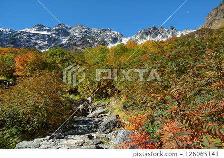 Autumn leaves @Kamikochi Autumn leaves at Karasawa course in Kamikochi (best season) 126065141