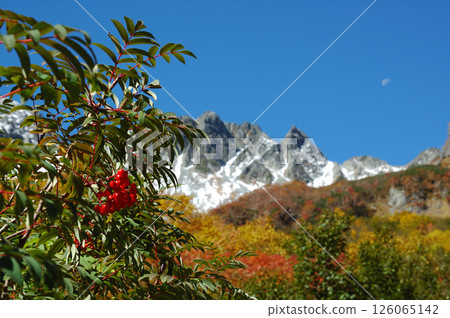 Autumn leaves @Kamikochi Autumn leaves at Karasawa course in Kamikochi (best season) 126065142