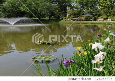 Meijo Park, Mibukaike 126065847