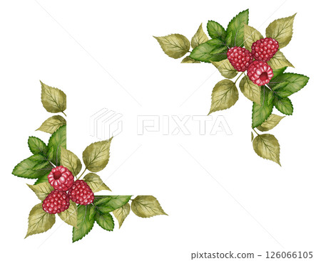 Raspberry frame with green leaves Raspberry frame with green leaves 126066105