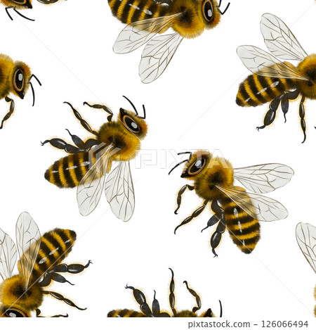 Bee pattern illustration 126066494