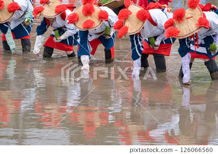 <Shimane Prefecture> Flower planting in Ikeda area 126066560