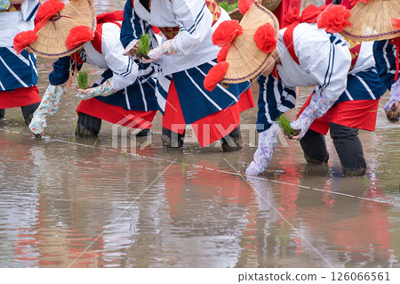 <Shimane Prefecture> Flower planting in Ikeda area 126066561