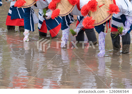 <Shimane Prefecture> Flower planting in Ikeda area 126066564