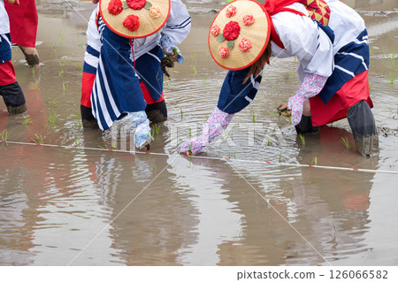 <Shimane Prefecture> Flower planting in Ikeda area 126066582