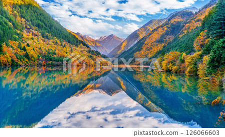 Scenic of Jiuzhaigou national park in autumn, China. 126066603