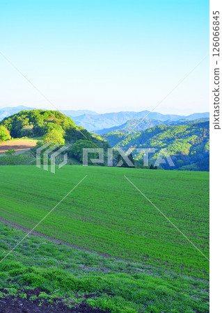 A refreshing view from a lush green hill in Minano Town, Chichibu District A refreshing view from a lush green hill in Minano Town, Chichibu District 126066845