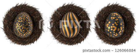 Elegant black eggs with gold patterns in bird nests, isolated on white transparent background. 126066884