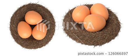 Brown eggs in bird nests isolated on white transparent background. 126066897