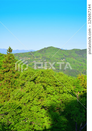 Fresh greenery near the poppy fields, Minano Town, Chichibu District Fresh greenery near the poppy fields, Minano Town, Chichibu District 126067144