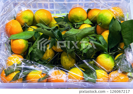 Ripe colorful orange-green tangerines with green leaves in plastic box in supermarket, top view. 126067217
