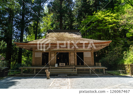 Muroji寺 126067467