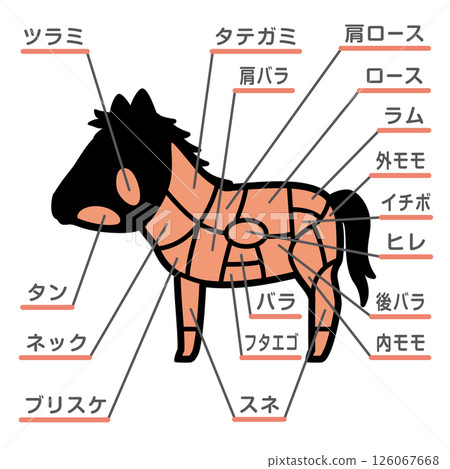 Illustration of horse meat parts with text 126067668