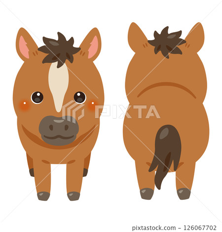 馬的正面和背面插圖集 馬的正面和背面插圖集 126067702