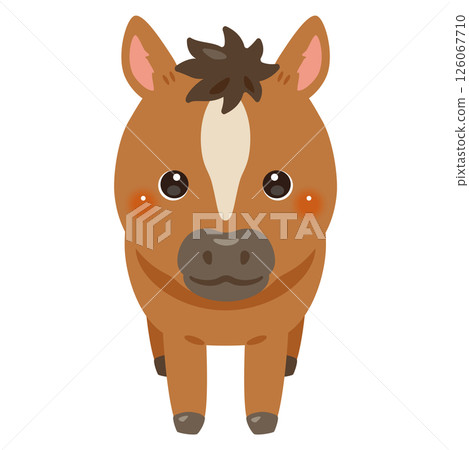 Illustration of a horse seen from the front 126067710