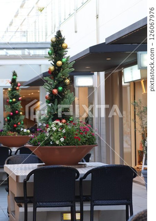 Christmas tree Christmas tree 126067976