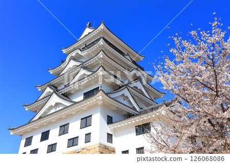 [廣島縣] 春天的櫻花盛開的福山城（重建後）福山城櫻花節 126068086