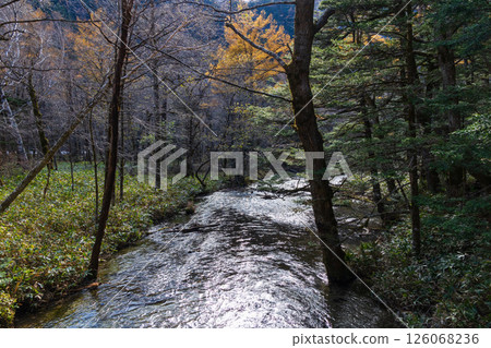 Kamikochi in late autumn: Japan's leading mountain resort Kamikochi in late autumn: Japan's leading mountain resort 126068236
