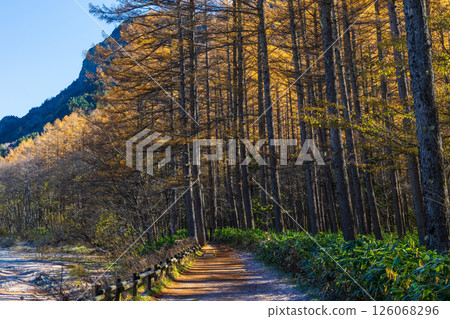Kamikochi in late autumn: Japan's leading mountain resort Kamikochi in late autumn: Japan's leading mountain resort 126068296