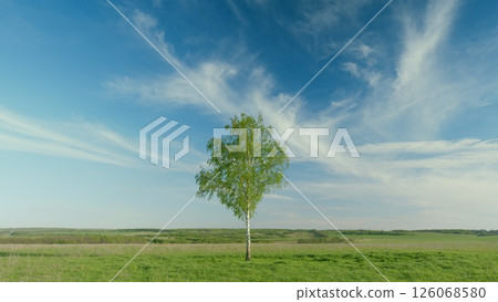 A Serene and Isolated Tree Standing Tall in an Open Landscape Beneath a Clear Blue Sky A Serene and Isolated Tree Standing Tall in an Open Landscape Beneath a Clear Blue Sky 126068580