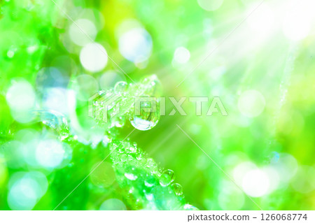 Waterdrop on the grass Waterdrop on the grass 126068774