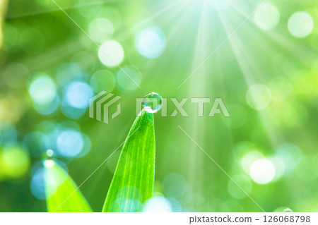 在草地上的Waterdrop 126068798