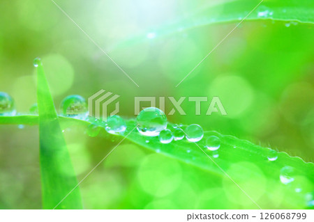 Waterdrop on the grass 126068799