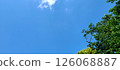 Early summer blue sky, white clouds, and fresh green trees 126068887