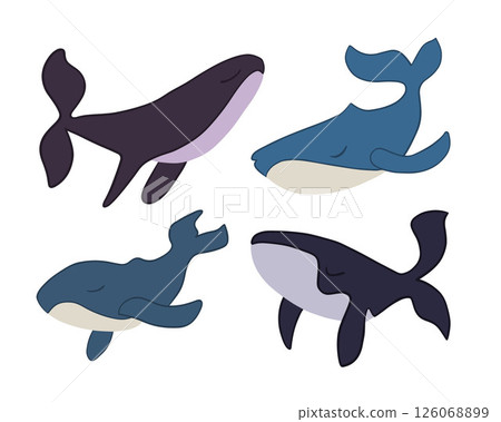 Vector isolated illustration of a set of whales on a white background. Vector isolated illustration of a set of whales on a white background. 126068899