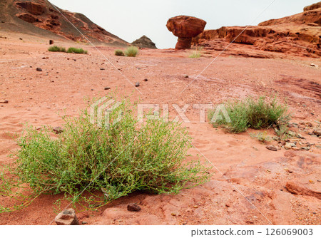 View of desert in Timna Valley, Israel 126069003
