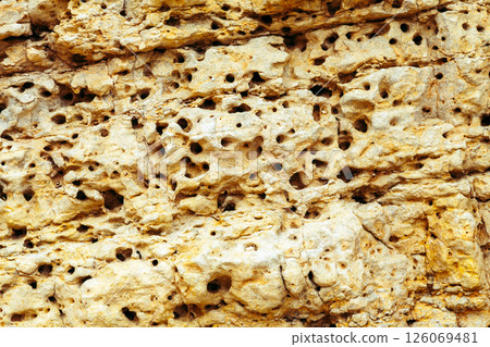Pale rock with porous texture, top view Pale rock with porous texture, top view 126069481