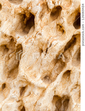 Pale rock with porous texture, top view 126069484