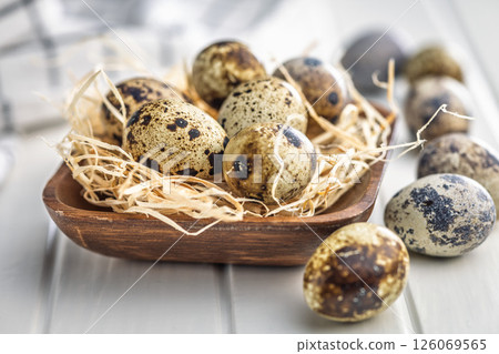 Spotted quail eggs on kitchen table. Spotted quail eggs on kitchen table. 126069565