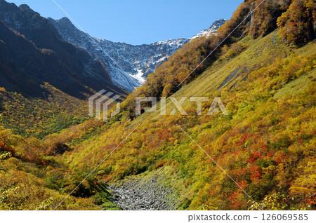 Autumn leaves @Kamikochi Autumn in Kamikochi, the trees coloring the Karasawa course (best time to see) Autumn leaves @Kamikochi Autumn in Kamikochi, the trees coloring the Karasawa course (best time to see) 126069585