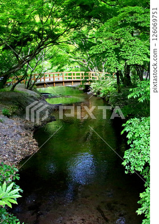 由布院：新綠 126069751