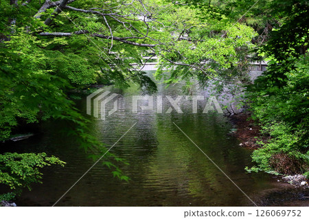 Yufuin: Fresh greenery Yufuin: Fresh greenery 126069752