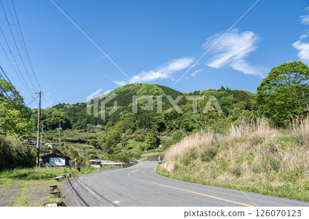 Fresh greenery in the Muroo Ono countryside 126070123
