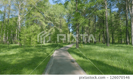 A Serene Pathway Winding Through a Beautiful Forest Surrounded by Lush Greenery and Natures Beauty A Serene Pathway Winding Through a Beautiful Forest Surrounded by Lush Greenery and Natures Beauty 126070546