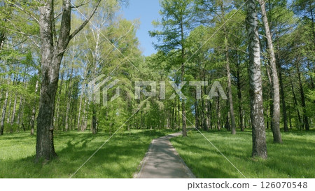 The Serene Park Pathway is Perfectly Surrounded by Beautiful, Lush Green Trees and Nature The Serene Park Pathway is Perfectly Surrounded by Beautiful, Lush Green Trees and Nature 126070548