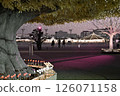 People viewing the "Aurora Forest" at Tokyo Mega Illumination 2024-2025 126071158