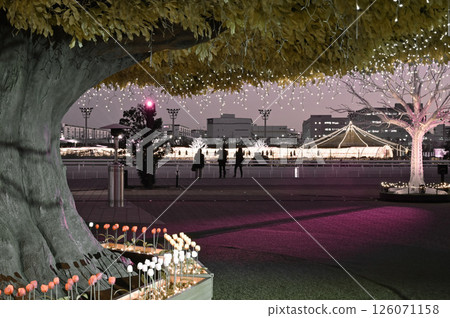 People viewing the "Aurora Forest" at Tokyo Mega Illumination 2024-2025 People viewing the "Aurora Forest" at Tokyo Mega Illumination 2024-2025 126071158
