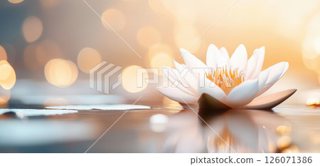 serene white lotus flower floats gracefully on calm water, radiating tranquility and beauty 126071386