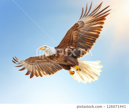 majestic bald eagle soars gracefully through clear blue sky, showcasing its powerful wings and striking plumage 126071441